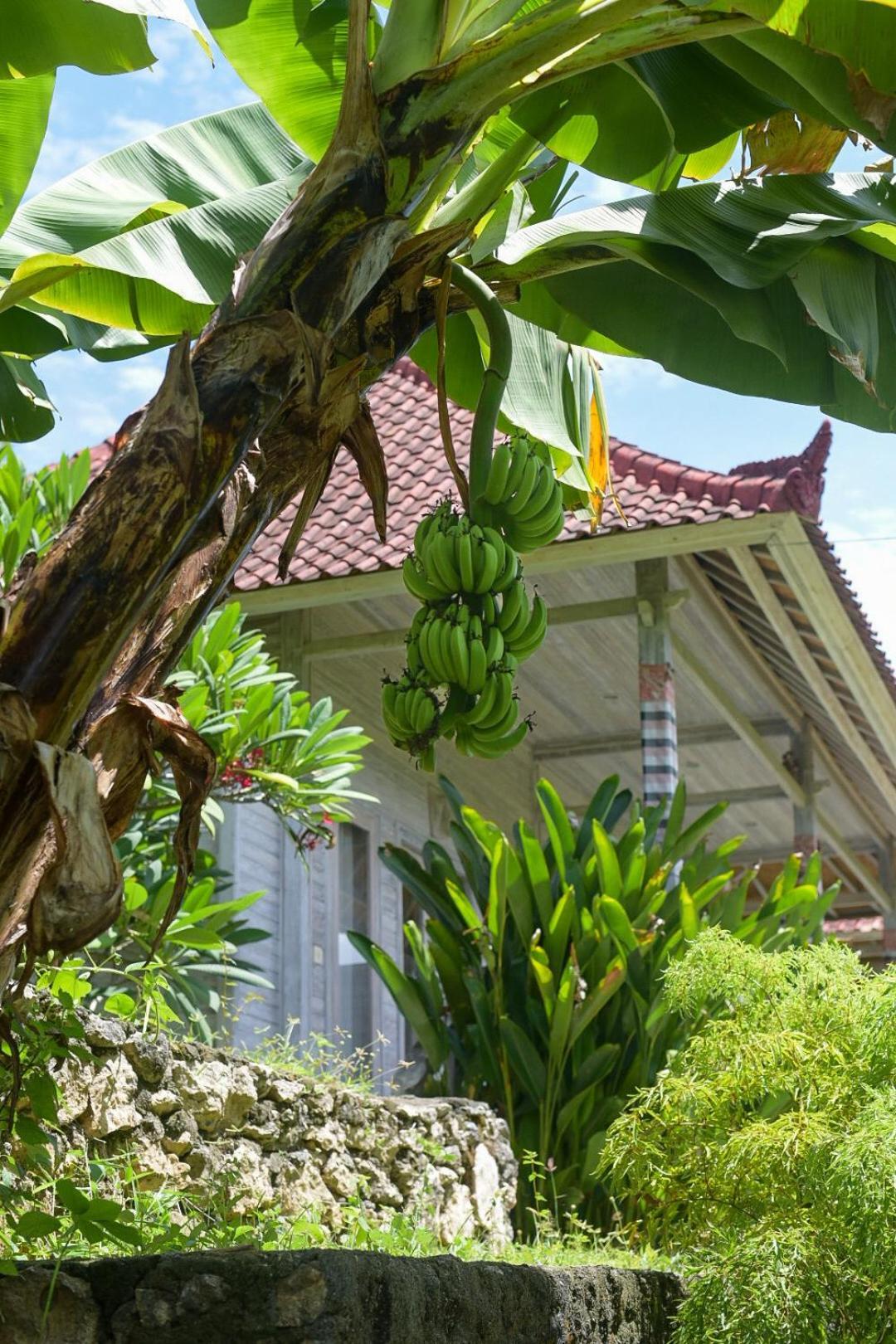 Mesari Hut Lembongan Hotel Bagian luar foto